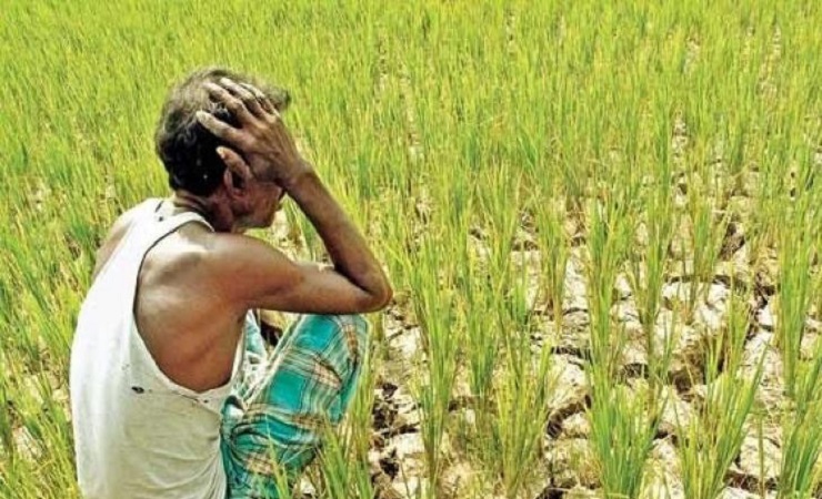 ব্র্যাক প্রতিবেদন: কৃষকের ক্ষতি ৫৬ হাজার ৫৩৬ কোটি টাকা, ৯৫ শতাংশই সহায়তা পায়নি।