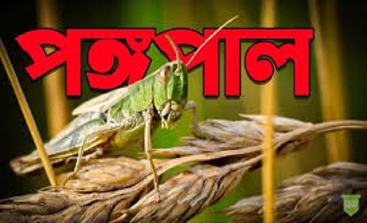 পঙ্গপাল বাংলাদেশে যে কারনে আসবে না: এফএও বিবৃতি