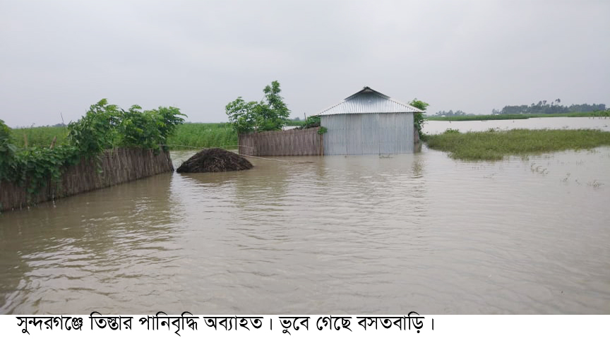 সুন্দরগঞ্জে তিস্তার পানি বৃদ্ধি অব্যাহত ডুবে গেছে বসতবাড়ি ও ফসলি জমি