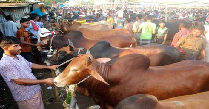 এবার অনলাইনেই হতে পারে গরুর হাট