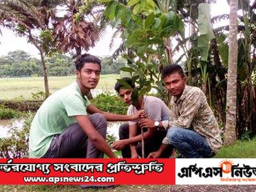 মির্জাগঞ্জ উপজেলা ছাত্রলীগের বৃক্ষরোপণ কর্মসূচি।