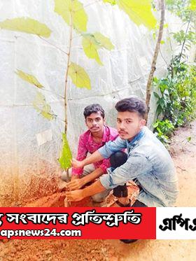 বঙ্গবন্ধু আদর্শ ঐক্য পরিষদ,পটুয়াখালী পৌর শাখার পক্ষ থেকে বৃক্ষ রোপন করেন রহমত আল রাযি