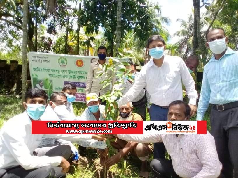 গলাচিপায় প্রধানমন্ত্রীর ঘোষিত চারা রোপণ কর্মসূচির শুভ উদ্বোধন করলেন- শাহিন শাহ্