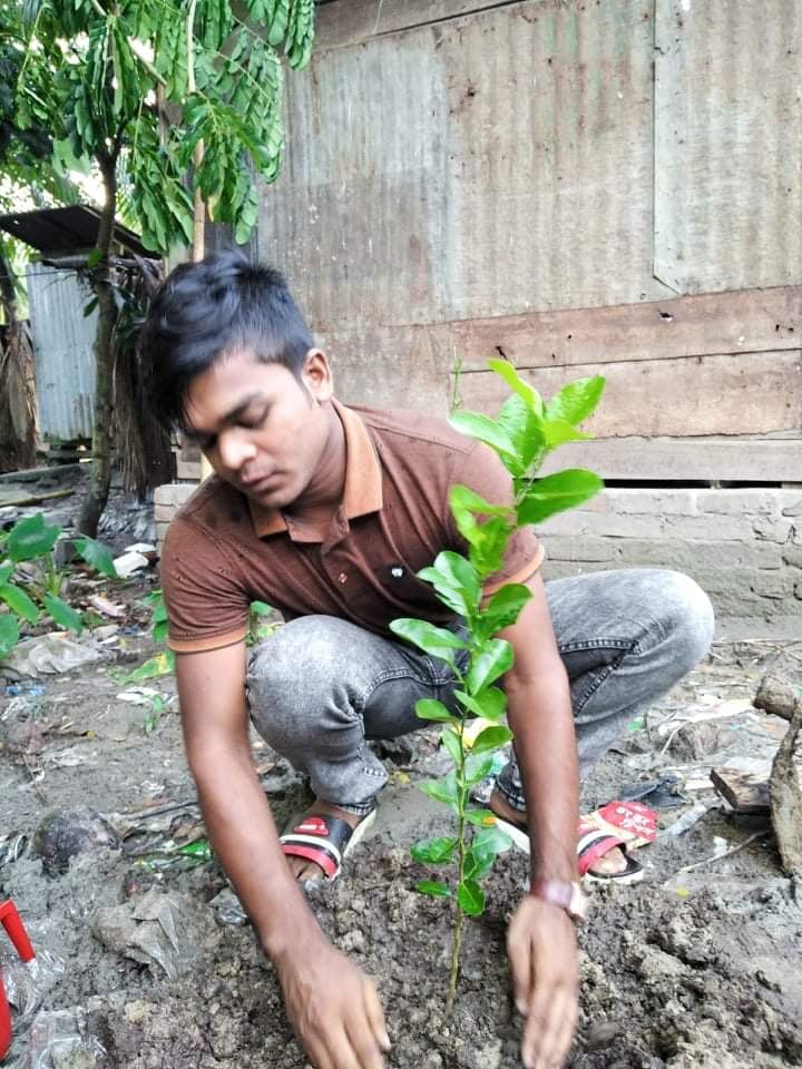 মুজিবর্বষে উজিরপুর ছাত্রলীগের উদ্যোগে পড়ায় মহল্লায় বৃক্ষ রোপণ।