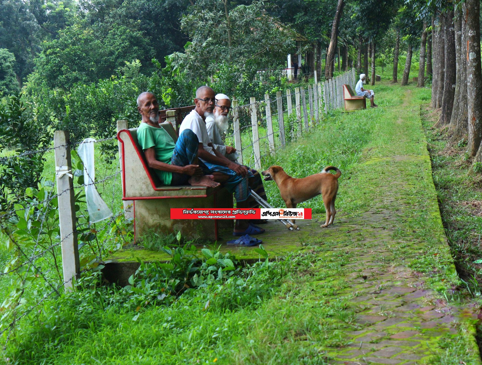 বৃদ্ধাশ্রম দর্শন