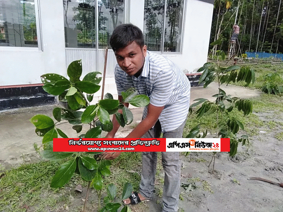 জবি ছাত্রলীগ কর্মী সাইদুল ইসলাম সাঈদ -এর নেতৃত্বে বাবুগঞ্জ উপজেলায় বৃক্ষরোপণ কর্মসূচী পালন ।