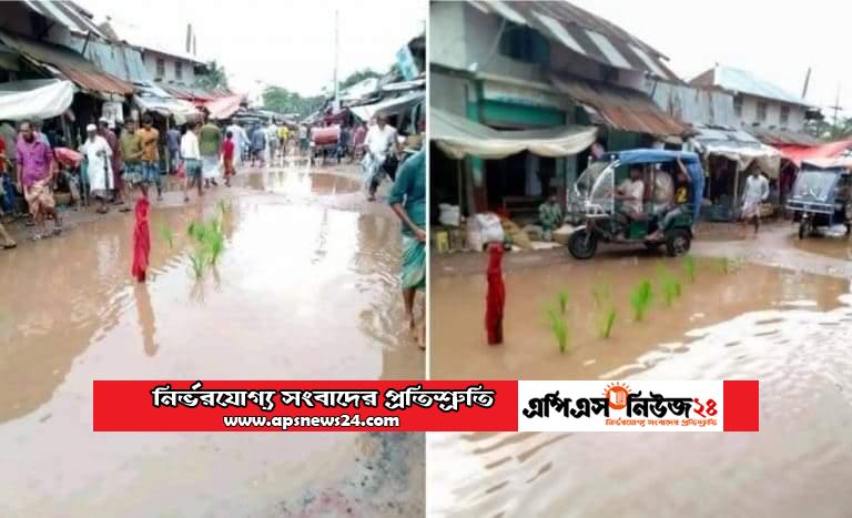 বাউফলে খানাখন্দে ভরা সড়কে ধান গাছ লাগিয়ে প্রতিবাদ