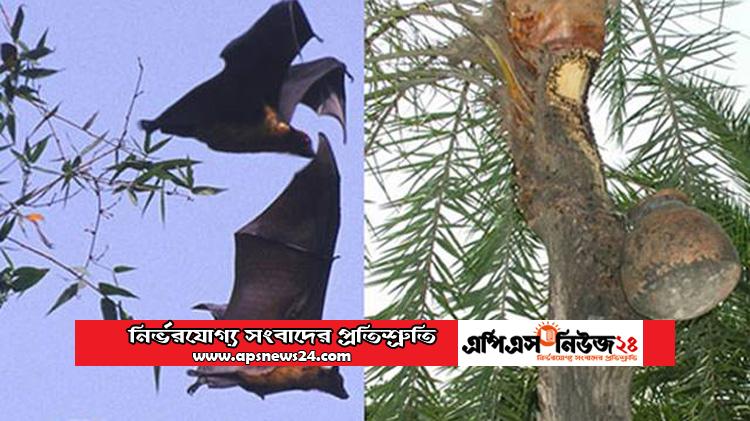 বাংলাদেশসহ এশিয়া অঞ্চলে নিপাহ ভাইরাস মহামারী হতে পারে