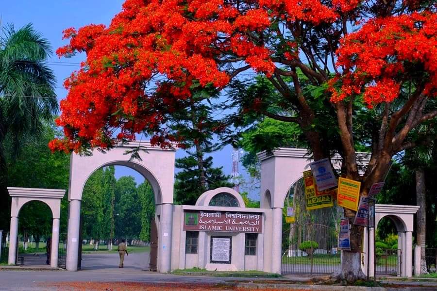 উপাচার্যের কাছে ইবি অফিসার্স এসোসিয়েশন’র ১৩ দফা দাবি