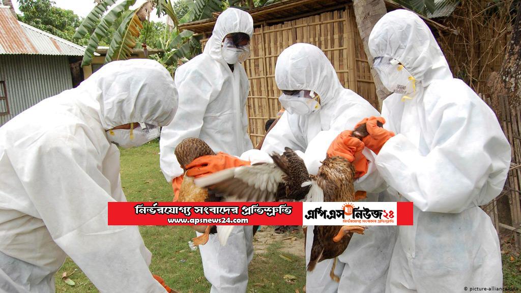 করোনার মধ্যেই ভারতে বার্ড ফ্লু’র হানা