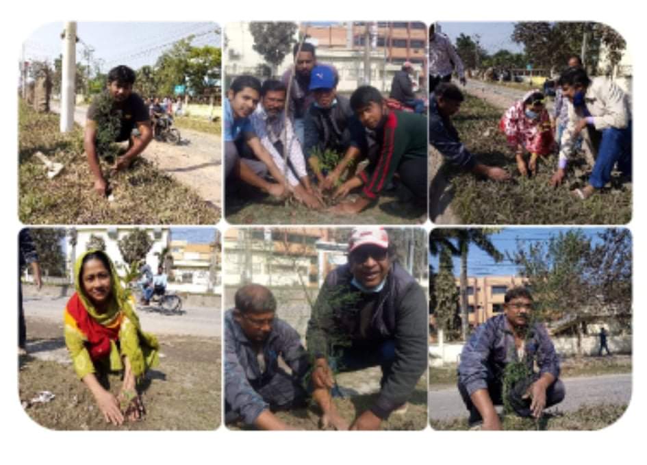 সমাজ প্রগতি সংস্থা’র উদ্যোগে নববর্ষে বৃক্ষরোপণ