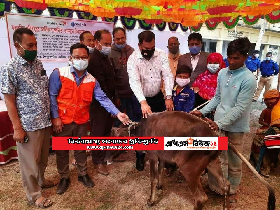 ঠাকুরগাঁওয়ে ওয়ার্ল্ড ভিশনের উদ্যেগে বকনা জাতের গরু বিতরণ