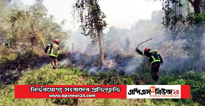 মৌলভীবাজারের লাউয়াছড়ায় আগুন !! গাছ পালার ব্যাপক ক্ষয় ক্ষতি