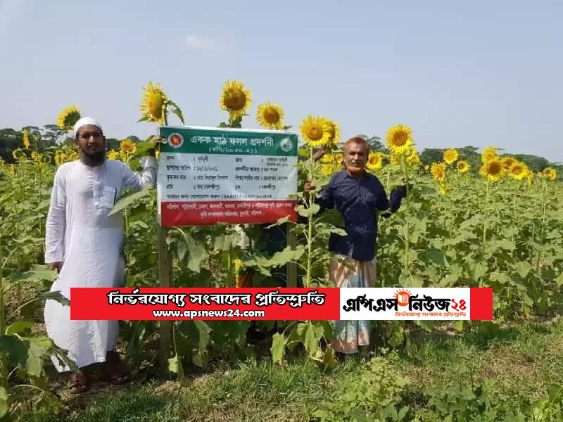 ঢাকা আরিচা মহাসড়কের দুই পাশে এবার সৌন্দর্য বর্ধনে লাগানো হয়েছে বিভিন্ন ফুলের গাছ