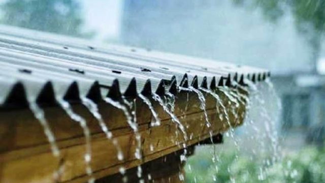 বৃষ্টি আল্লাহ তাআলার বড় নেয়ামত