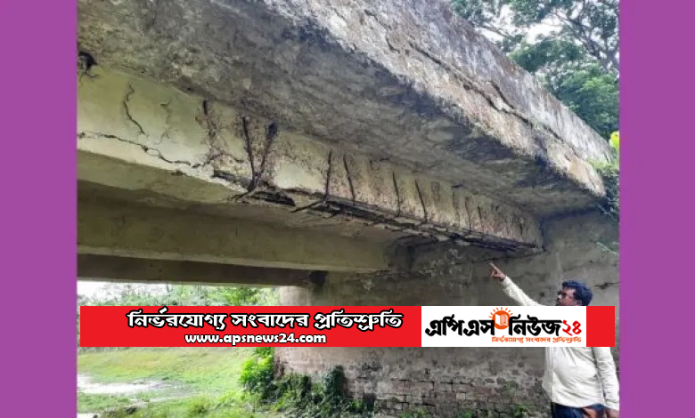 ঝিনাইদহে ব্রীজে ফাটল-মানুষের ঝুঁকিপূর্ণ চলাচল