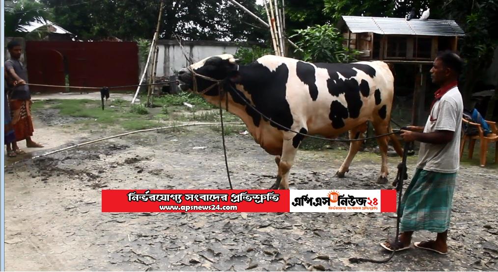 ‘বাংলার টাইগার’ খায় আপেল-আঙ্গুর